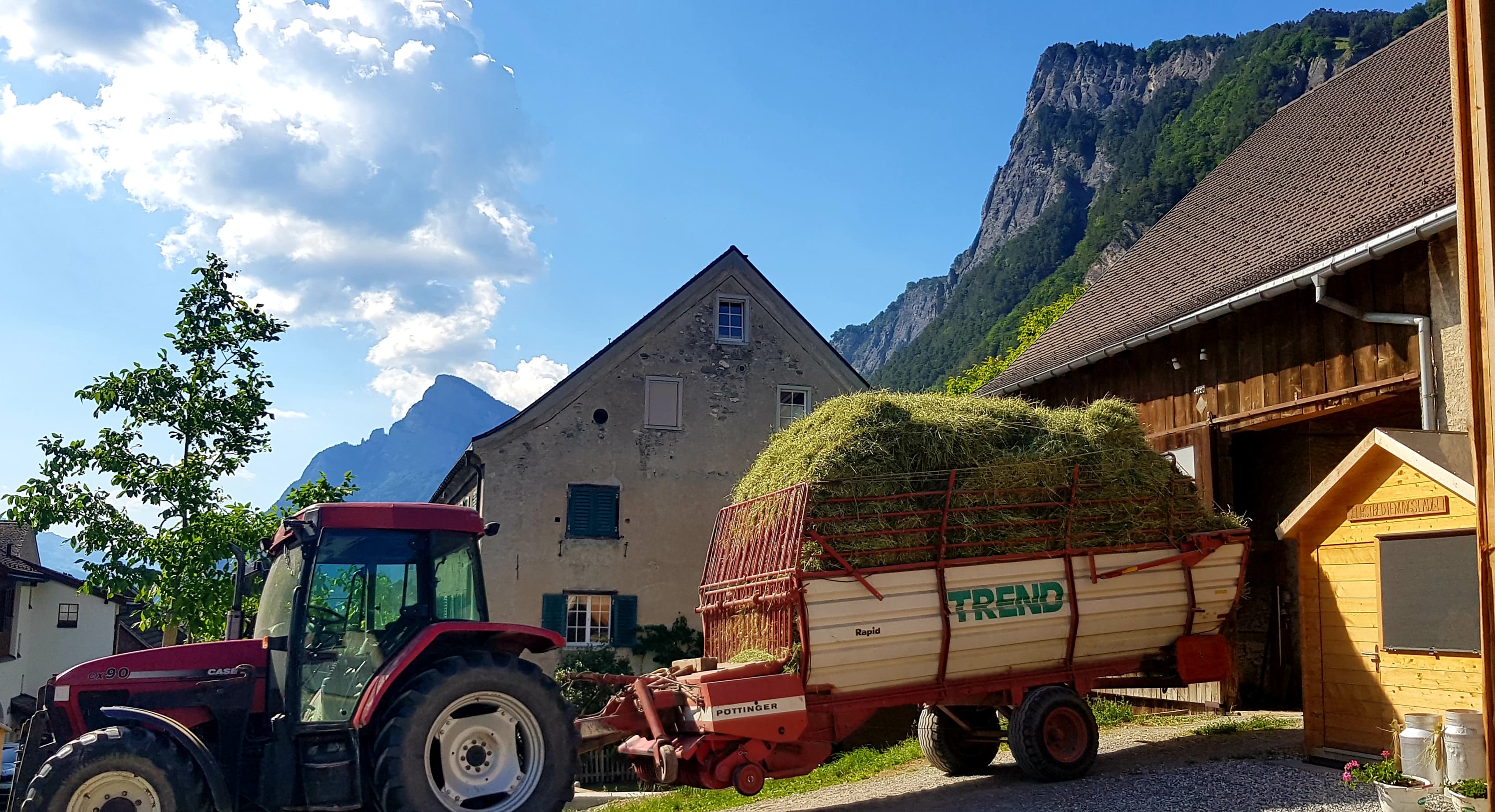 Hof Gabathuler in Fläsch